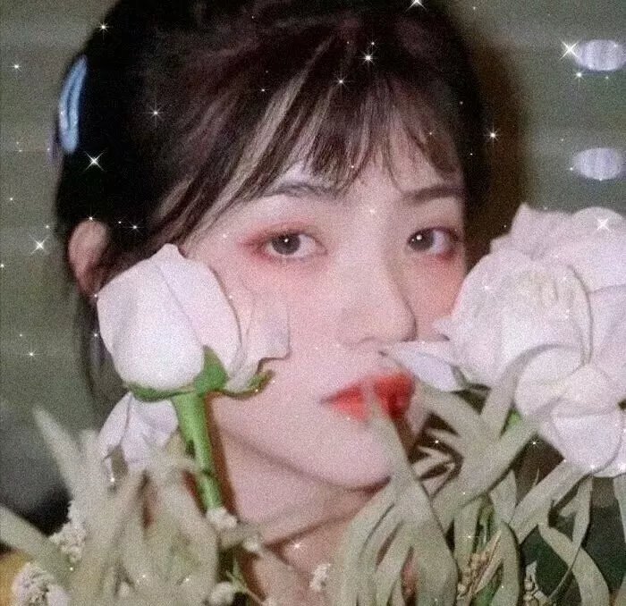 天机十二宫第二季